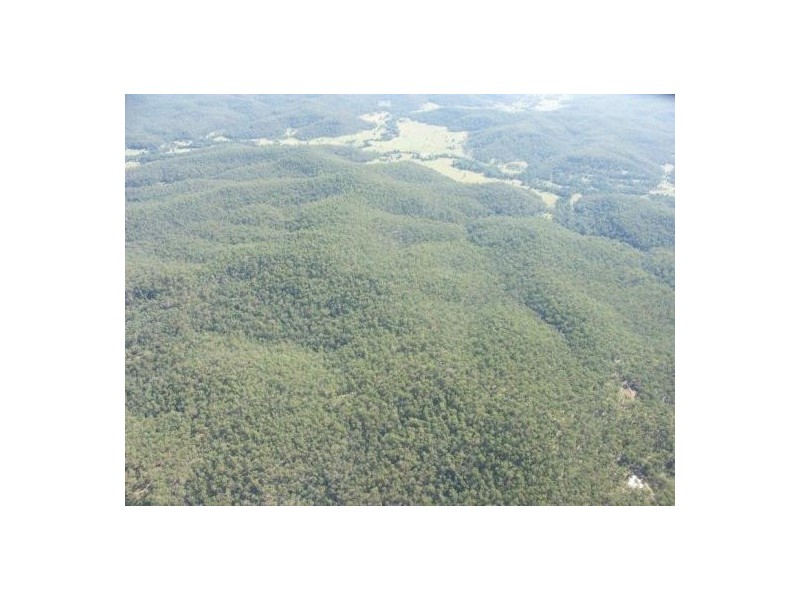 Lot 5, 102 Upper Mongogarie Road, Rappville NSW 2469