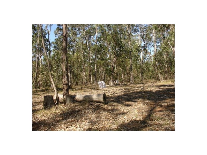 Lot 5, 102 Upper Mongogarie Road, Rappville NSW 2469