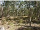 Lot 5, 102 Upper Mongogarie Road, Rappville NSW 2469