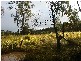 Whiporie NSW 2469