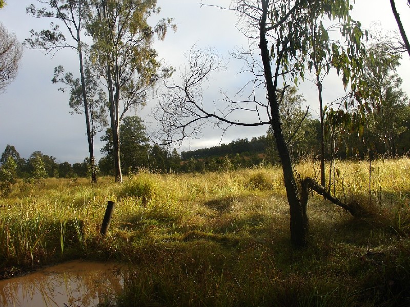 Whiporie NSW 2469
