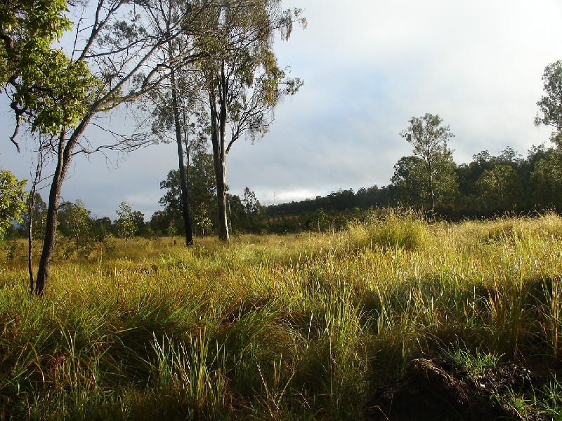 Whiporie NSW 2469