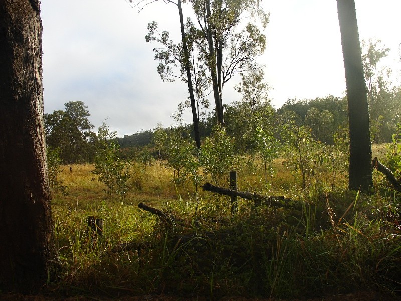Whiporie NSW 2469