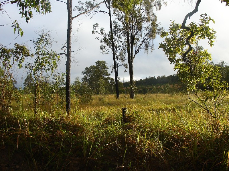 Whiporie NSW 2469