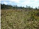 Whiporie NSW 2469