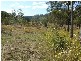 Whiporie NSW 2469