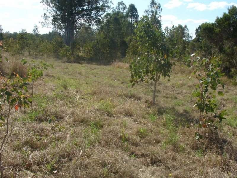 Whiporie NSW 2469