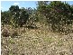 Whiporie NSW 2469