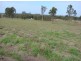 Spring Grove NSW 2470