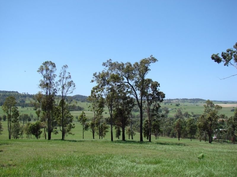 Spring Grove NSW 2470