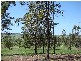 Spring Grove NSW 2470