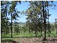 Spring Grove NSW 2470