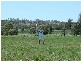 Spring Grove NSW 2470