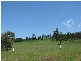 Spring Grove NSW 2470