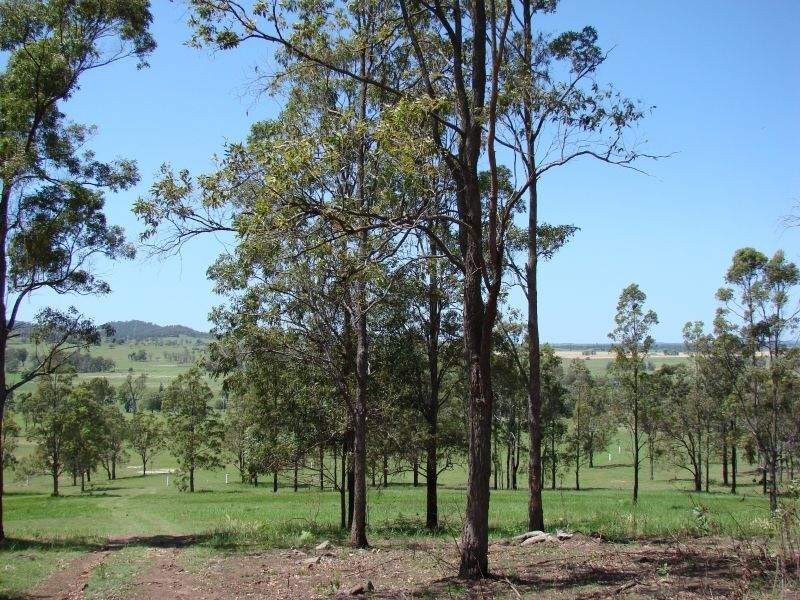 Spring Grove NSW 2470