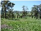 Spring Grove NSW 2470