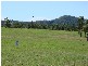 Spring Grove NSW 2470