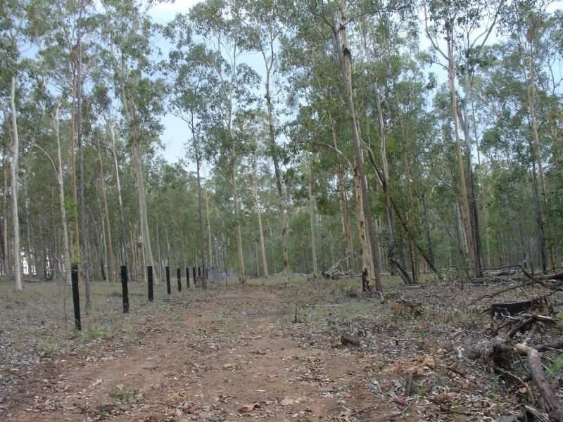 Shannon Brook NSW 2470