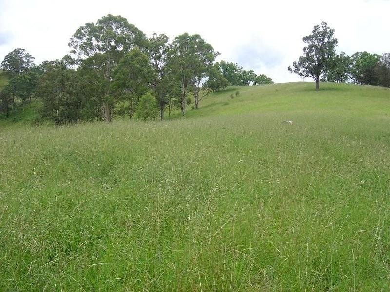 Kyogle NSW 2474