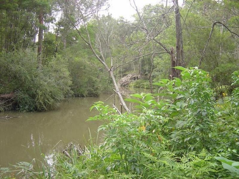 Drake NSW 2469