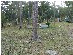 Drake NSW 2469