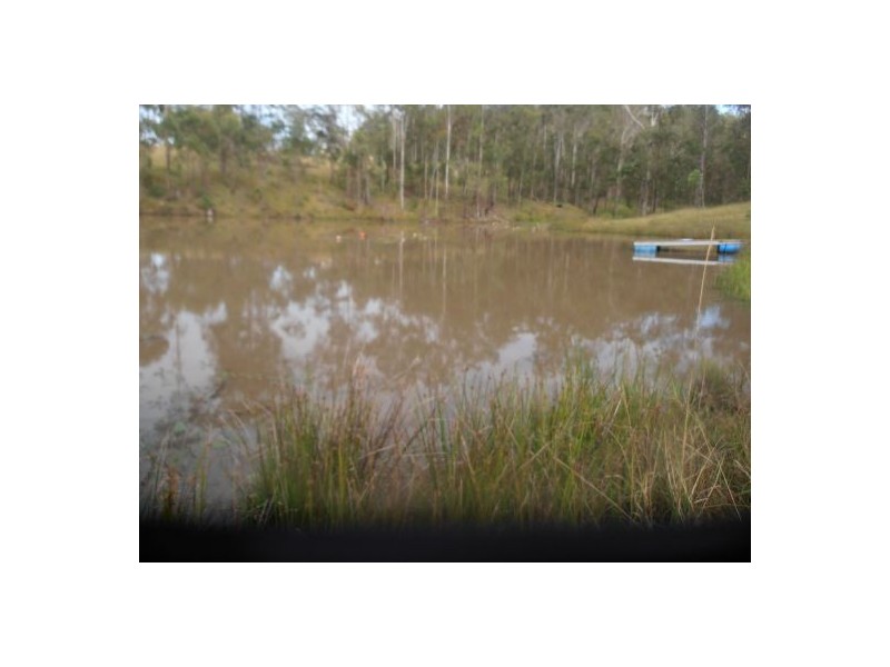 1183 Paddy’s Flat Road, Tabulam NSW 2469