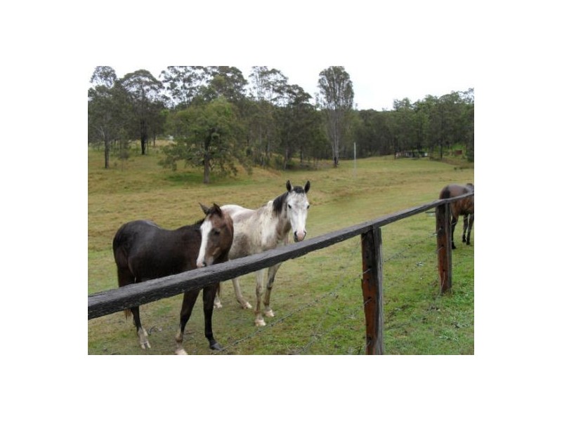 1183 Paddy’s Flat Road, Tabulam NSW 2469