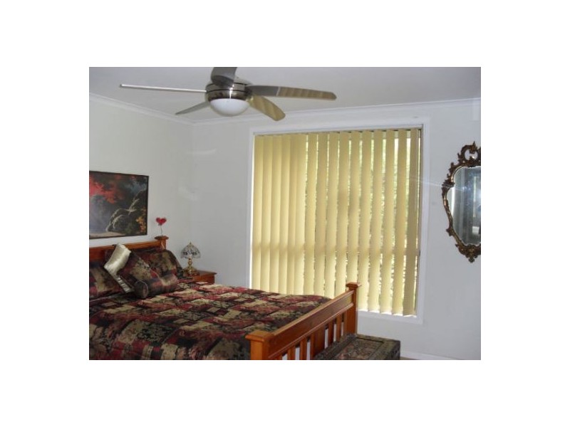 1183 Paddy’s Flat Road, Tabulam NSW 2469