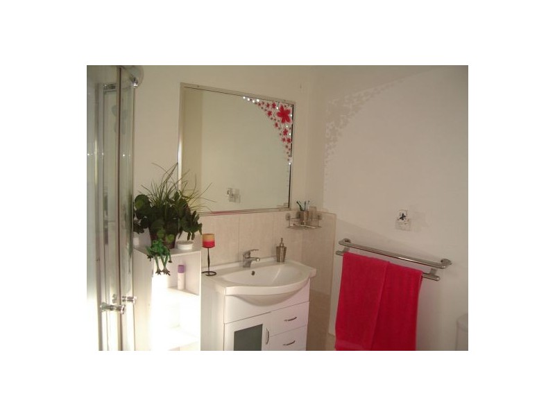 1183 Paddy’s Flat Road, Tabulam NSW 2469