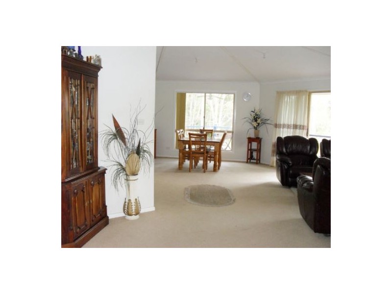 1183 Paddy’s Flat Road, Tabulam NSW 2469