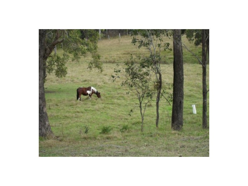 1183 Paddy’s Flat Road, Tabulam NSW 2469