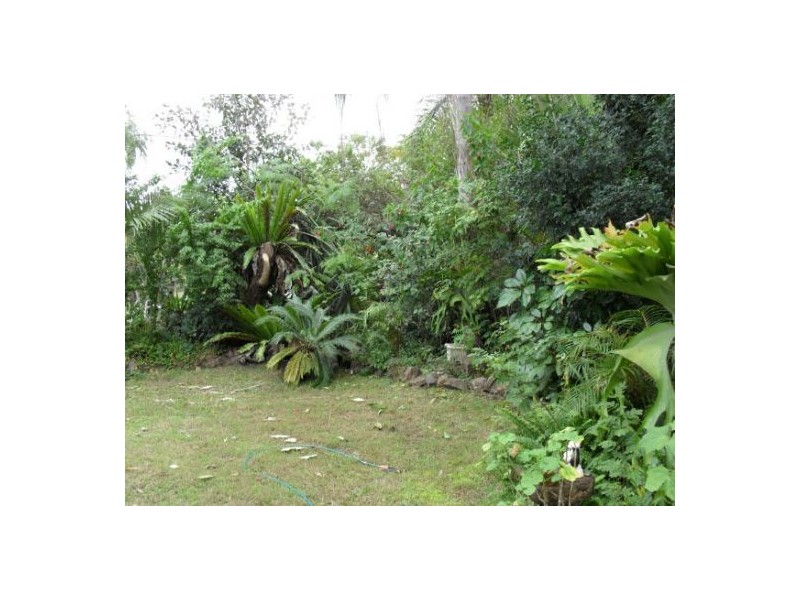 1183 Paddy’s Flat Road, Tabulam NSW 2469