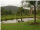 Mongogarie NSW 2470