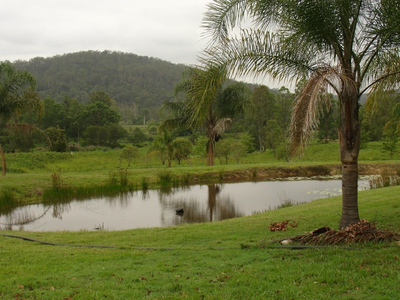 Mongogarie NSW 2470