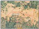 Mongogarie NSW 2470