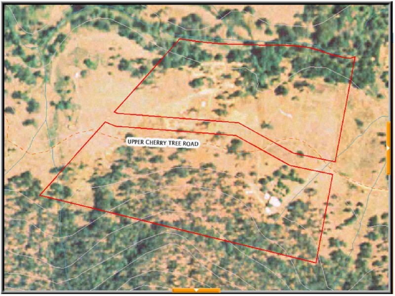 Mongogarie NSW 2470