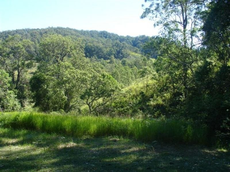 Eden Creek NSW 2474