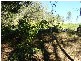 Eden Creek NSW 2474