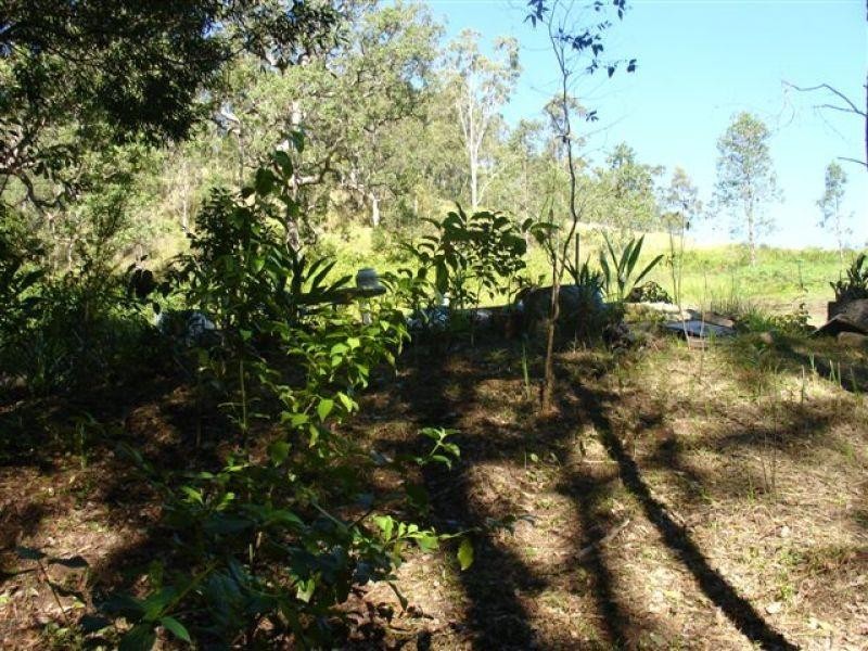 Eden Creek NSW 2474