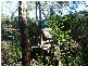Eden Creek NSW 2474