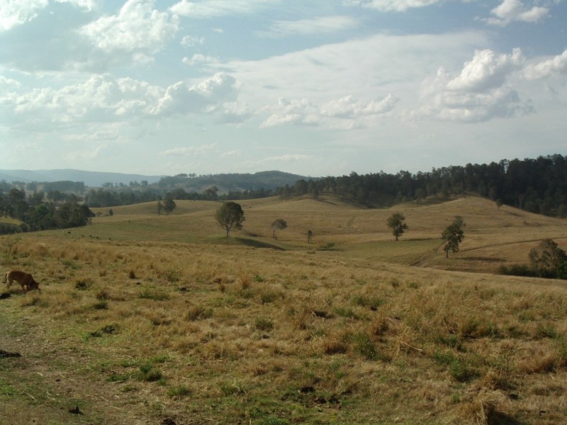 Tabulam NSW 2469