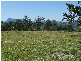 Cawongla NSW 2474
