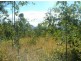 Lot 11 Leslie Creek Road, Tabulam NSW 2469