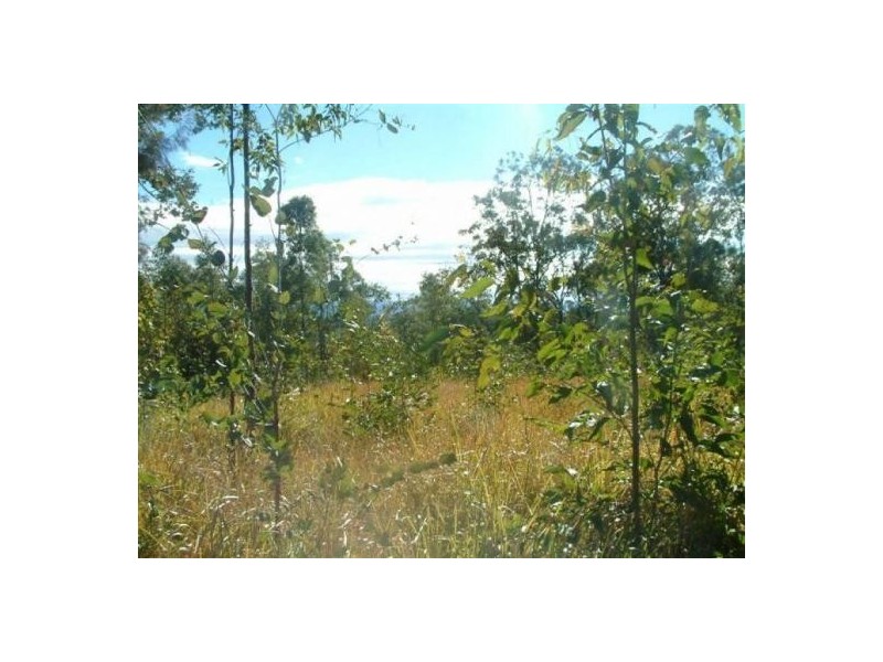 Lot 11 Leslie Creek Road, Tabulam NSW 2469