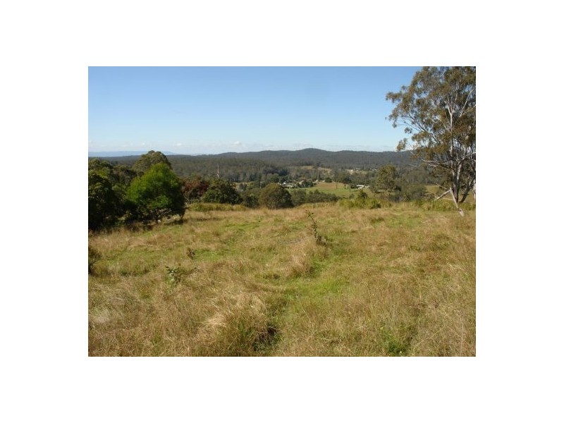 44 BRUXNER HIGHWAY, Drake NSW 2469