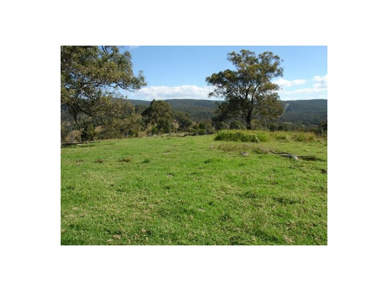 44 BRUXNER HIGHWAY, Drake NSW 2469