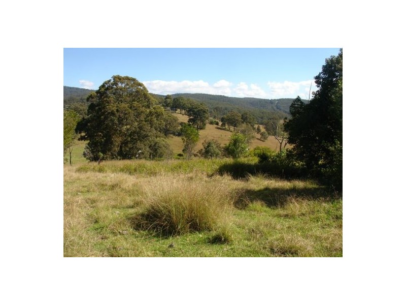 44 BRUXNER HIGHWAY, Drake NSW 2469