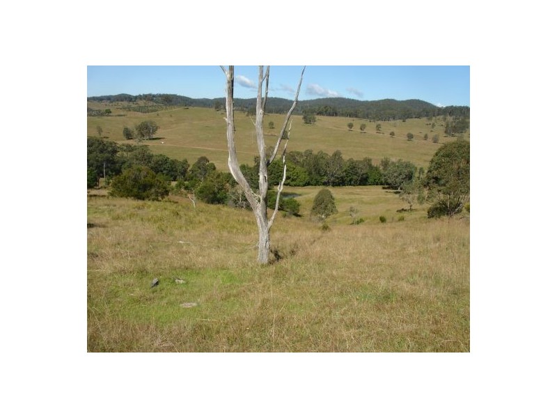 44 BRUXNER HIGHWAY, Drake NSW 2469