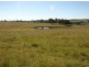 Tabulam NSW 2469