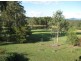 17 BUSHY DRIVE, Tabulam NSW 2469